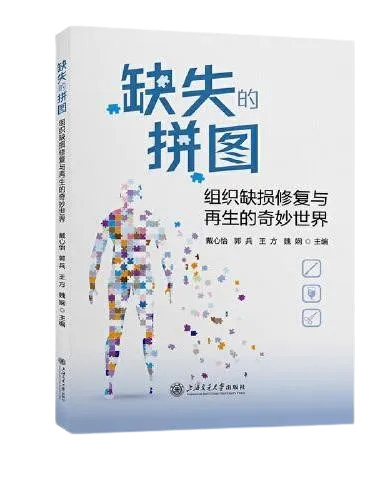 The Missing Puzzle Book